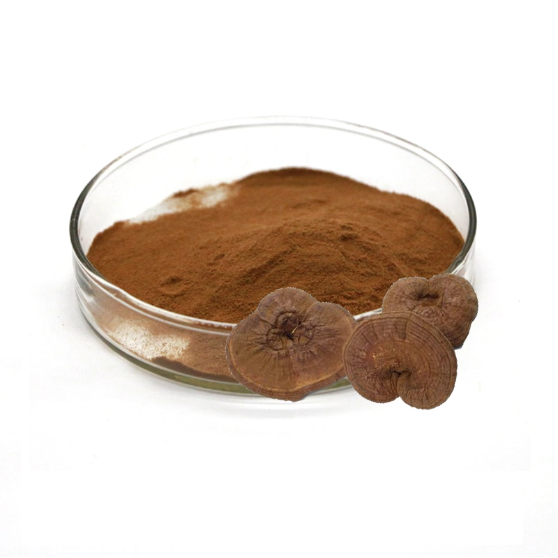 High-Standard Plant Extracts, Herbal Health Food, Ganoderma Lucidum Extract, Reishi Extract Powder