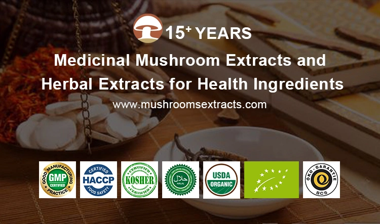 Organic Shiitake Mushroom Lentinus Edodes Plant Extract Maitake Extract Chaga Reishi Lion′ S Mane Mushroom Herbal Extract Powder Blend